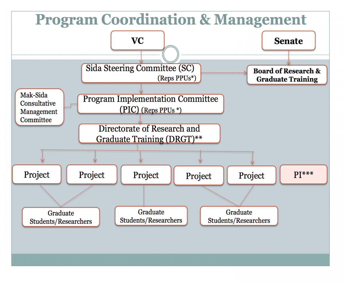 Program Organisation Structure